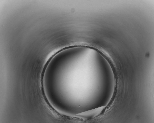 X0000090781230200707271542
