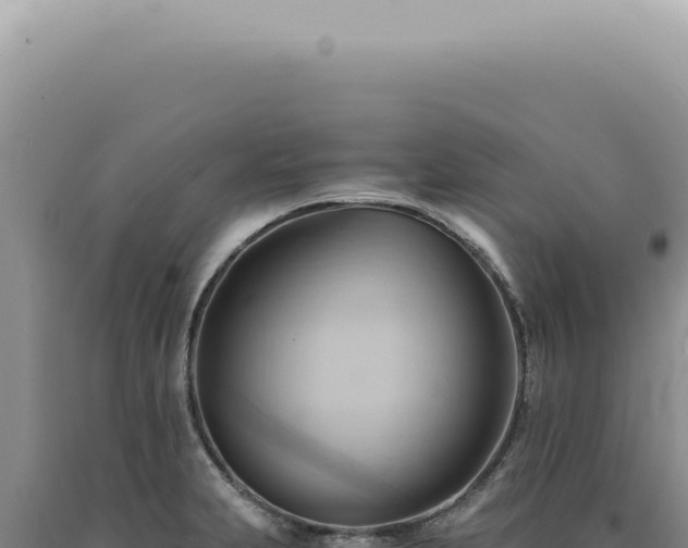 X0000090781231200707271542
