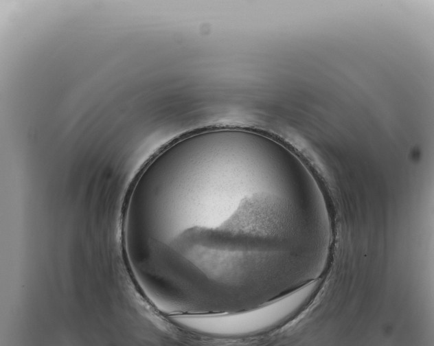 X0000090781232200707271542
