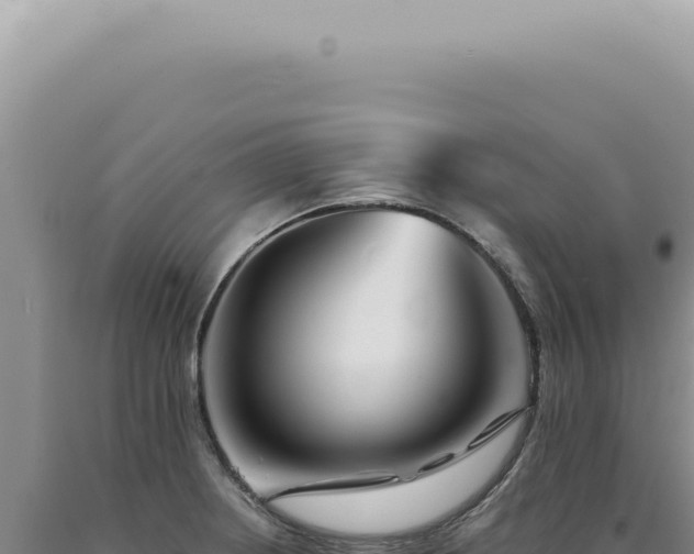 X0000090781234200707271542
