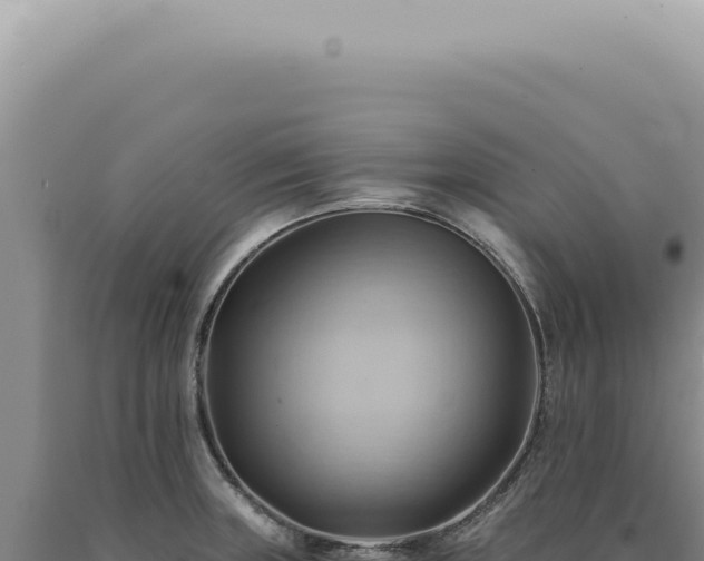 X0000090781235200707271542