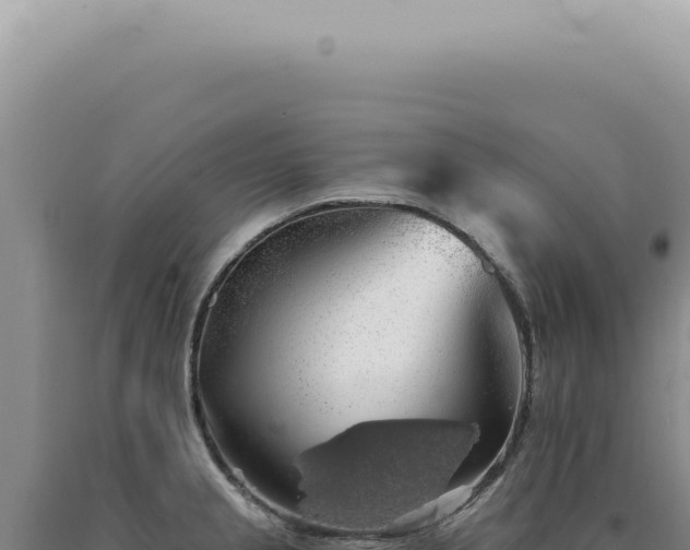 X0000090781237200707271542
