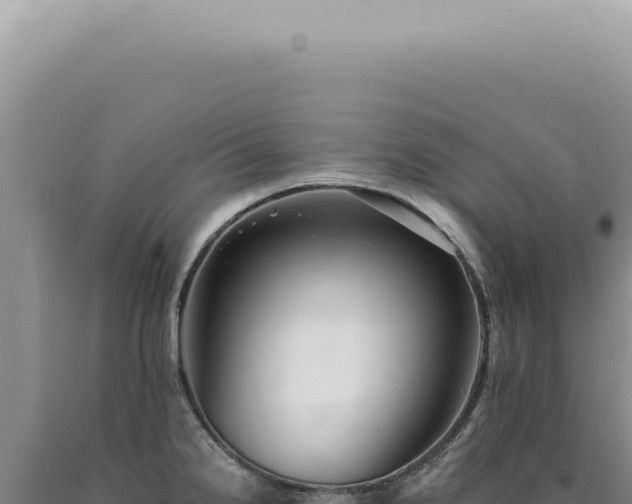 X0000090781238200707271542