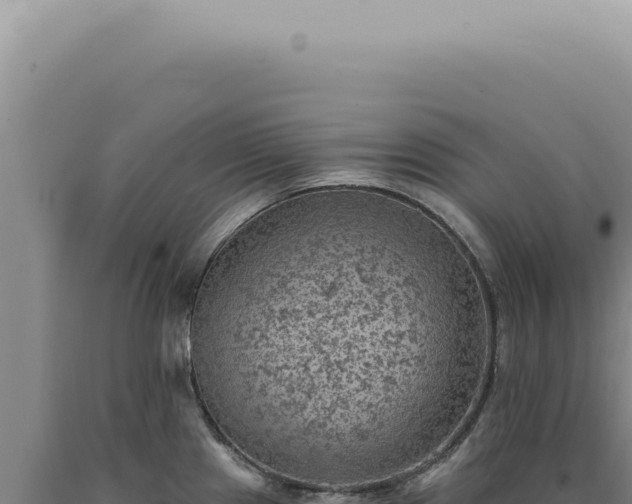 X0000090781241200707271542