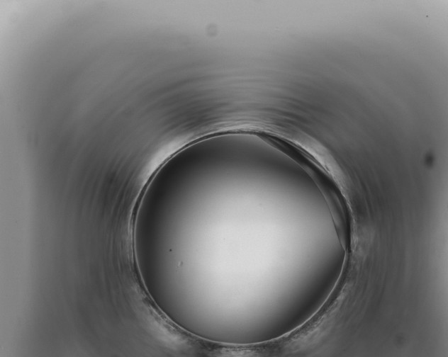 X0000090781242200707271542