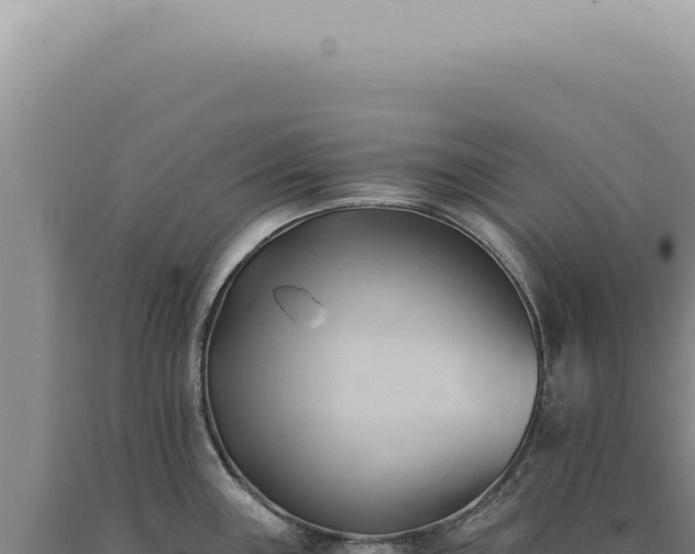 X0000090781243200707271542