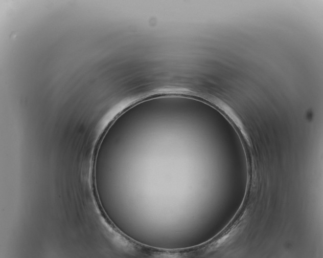 X0000090781245200707271542