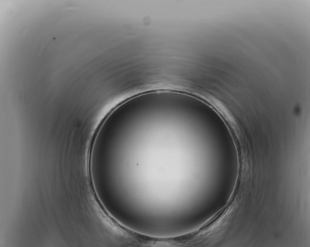 X0000090781246200707271542