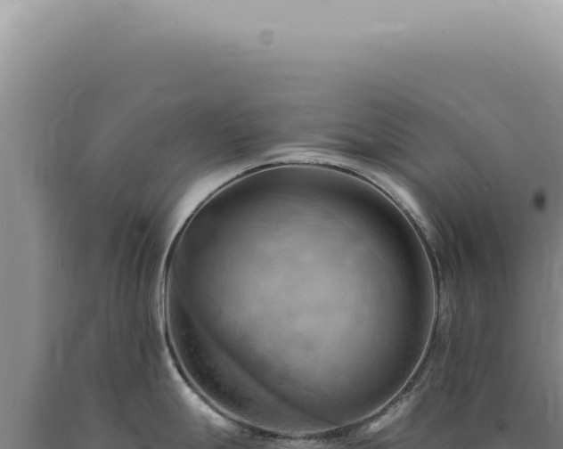 X0000090781247200707271542