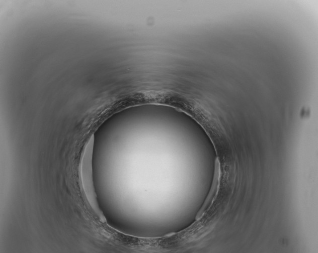 X0000090781249200707271541