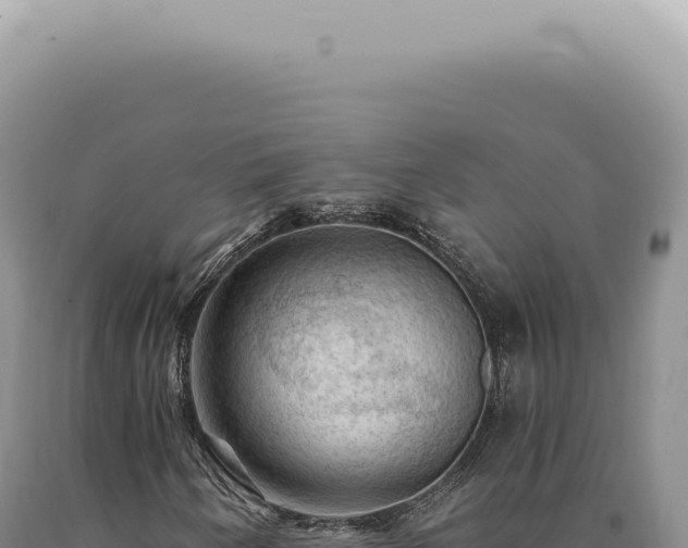 X0000090781250200707271541