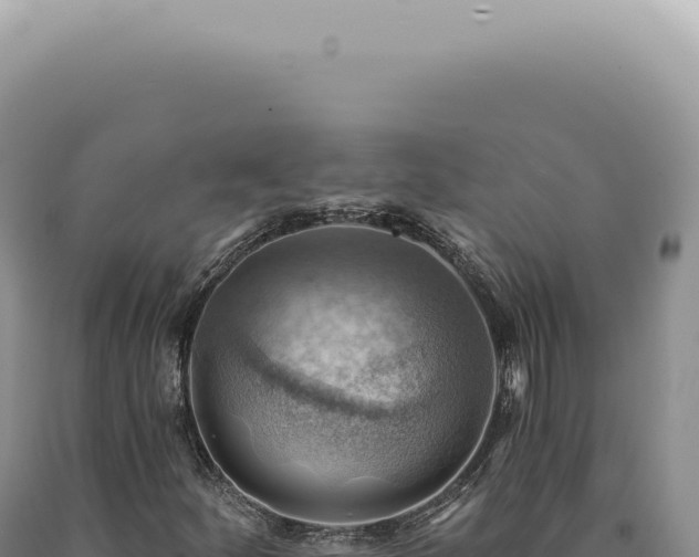 X0000090781252200707271541