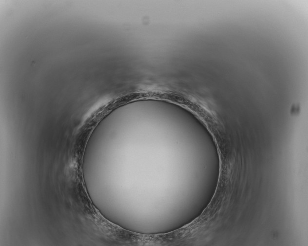X0000090781254200707271541