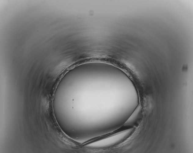 X0000090781257200707271541