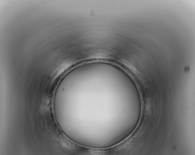 X0000090781258200707271541