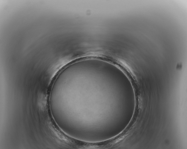 X0000090781260200707271541