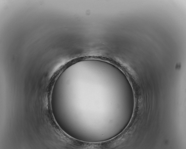 X0000090781262200707271541