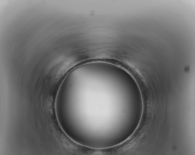 X0000090781265200707271541