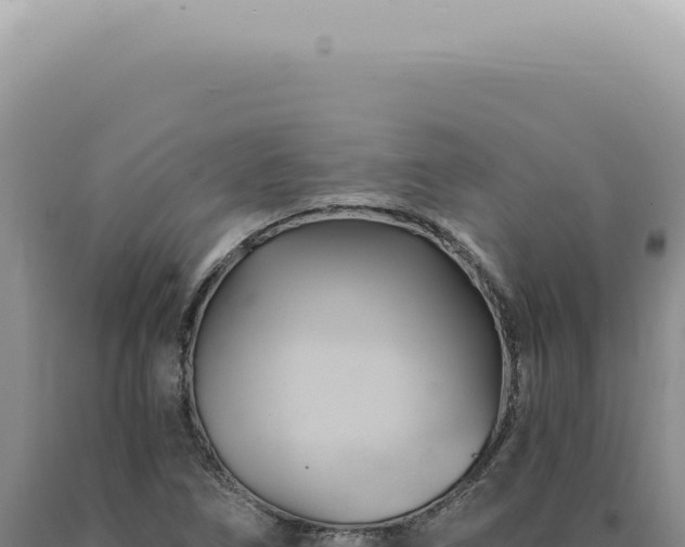 X0000090781266200707271541