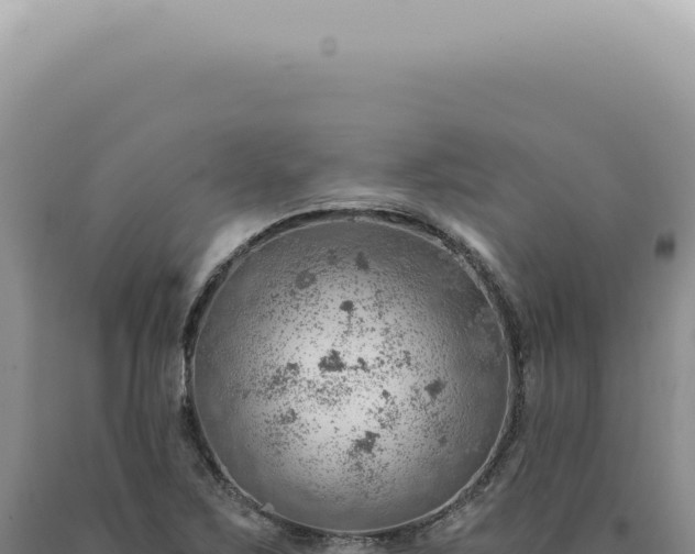 X0000090781267200707271541