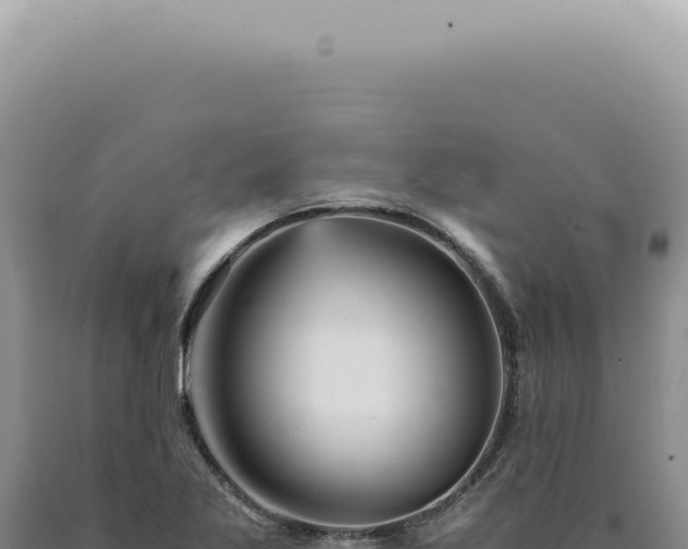 X0000090781269200707271541