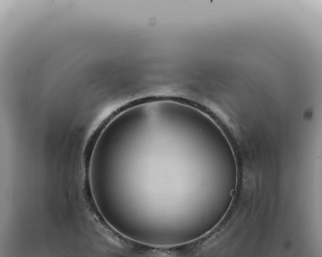 X0000090781270200707271541