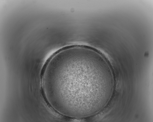 X0000090781271200707271541