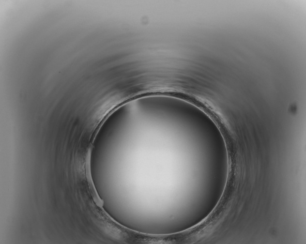 X0000090781273200707271541