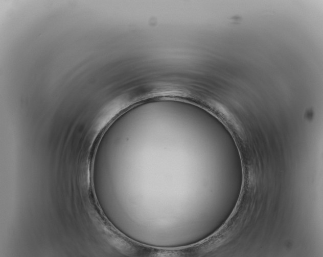 X0000090781274200707271541