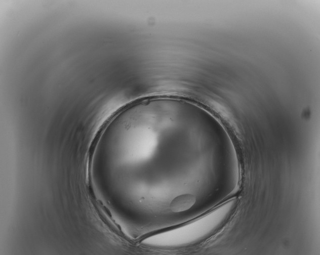 X0000090781275200707271541