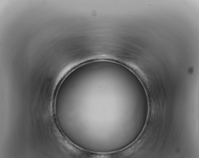 X0000090781278200707271541