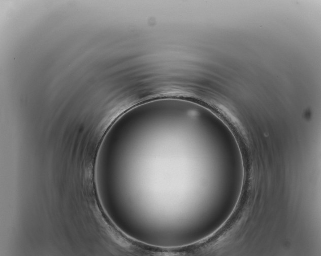 X0000090781281200707271541