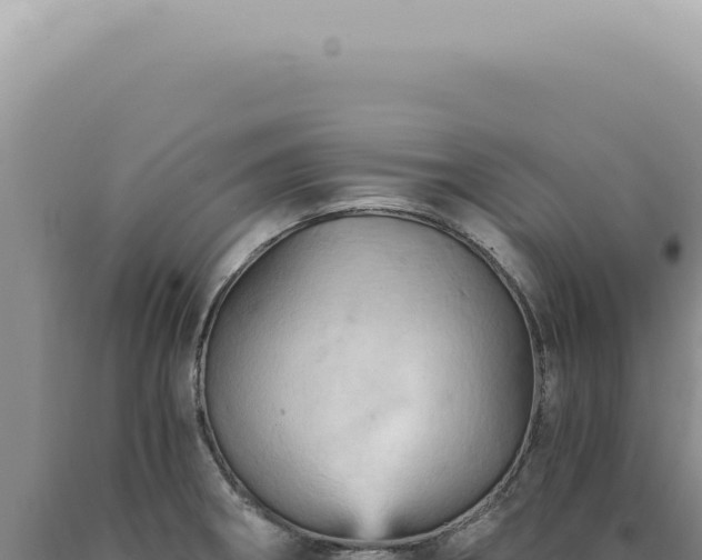 X0000090781282200707271541