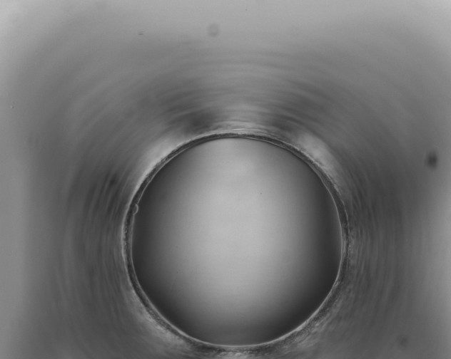 X0000090781283200707271541