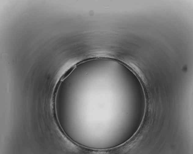 X0000090781285200707271541