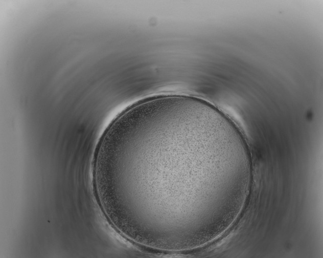 X0000090781288200707271541