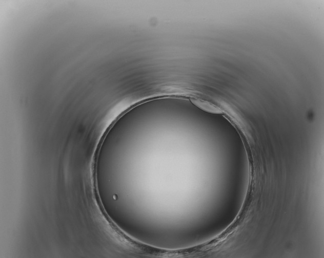 X0000090781291200707271541