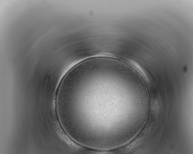 X0000090781292200707271541