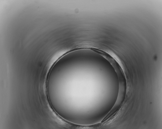 X0000090781293200707271541
