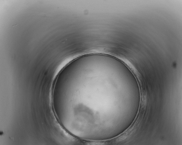 X0000090781294200707271541