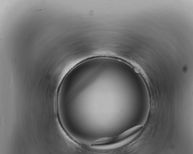 X0000090781295200707271541