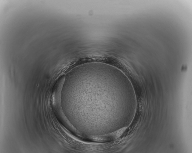X0000090781298200707271540