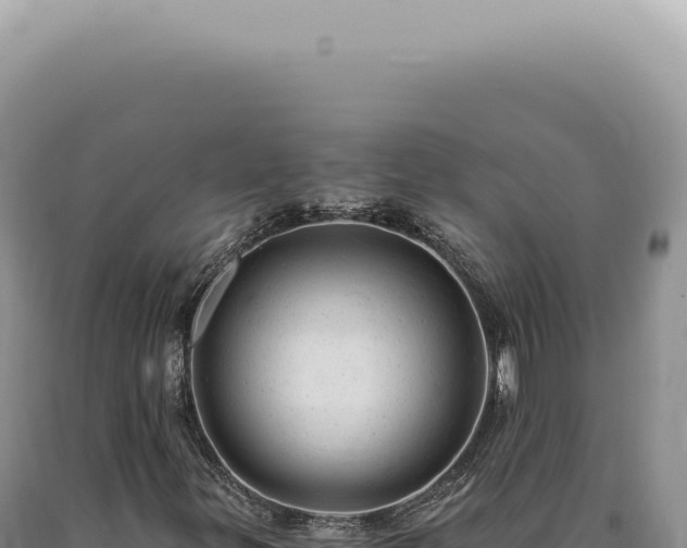 X0000090781299200707271540