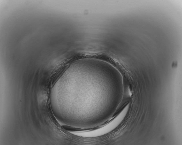 X0000090781300200707271540
