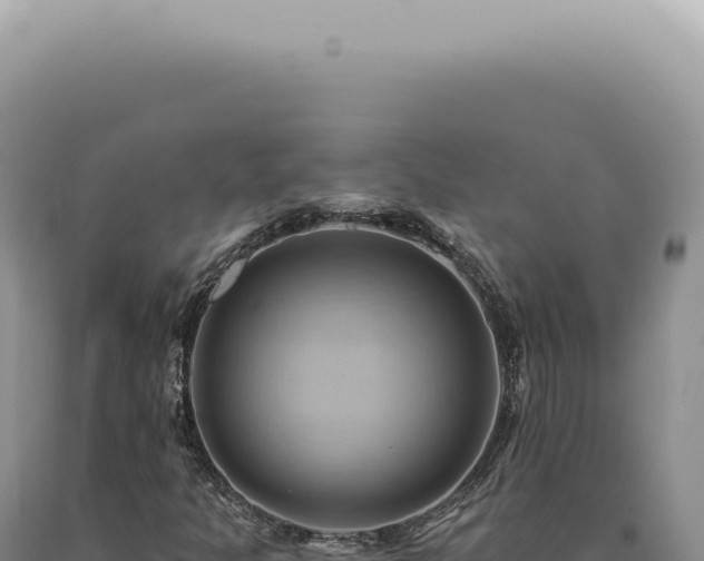 X0000090781301200707271540