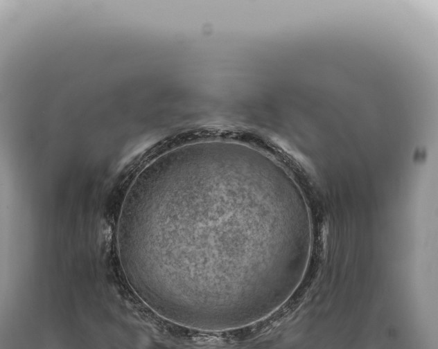 X0000090781302200707271540