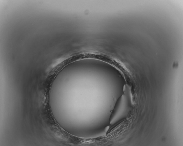 X0000090781303200707271540