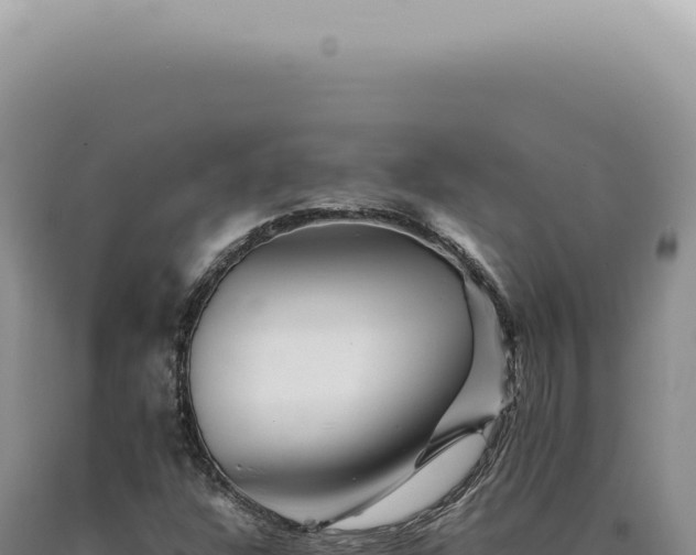 X0000090781304200707271540