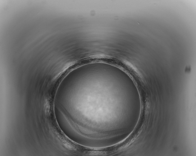 X0000090781305200707271540