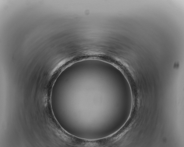 X0000090781306200707271540